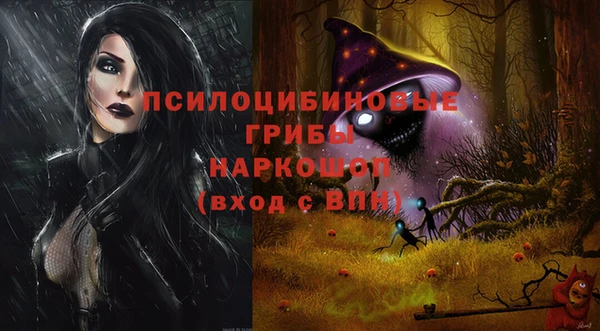 спайс Алексин