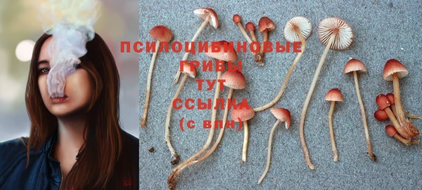 спайс Алексин