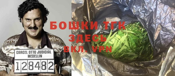 спайс Алексин