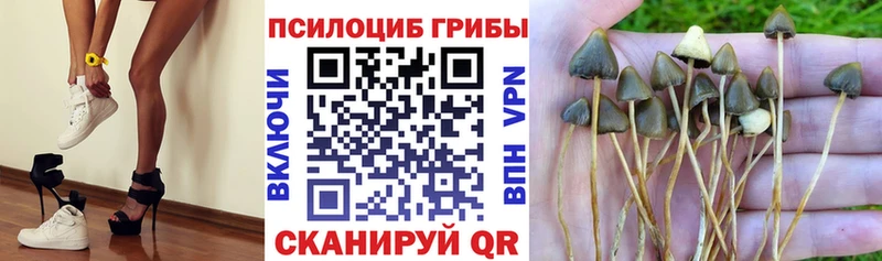 купить наркотик  Берёзовский  Псилоцибиновые грибы мухоморы 
